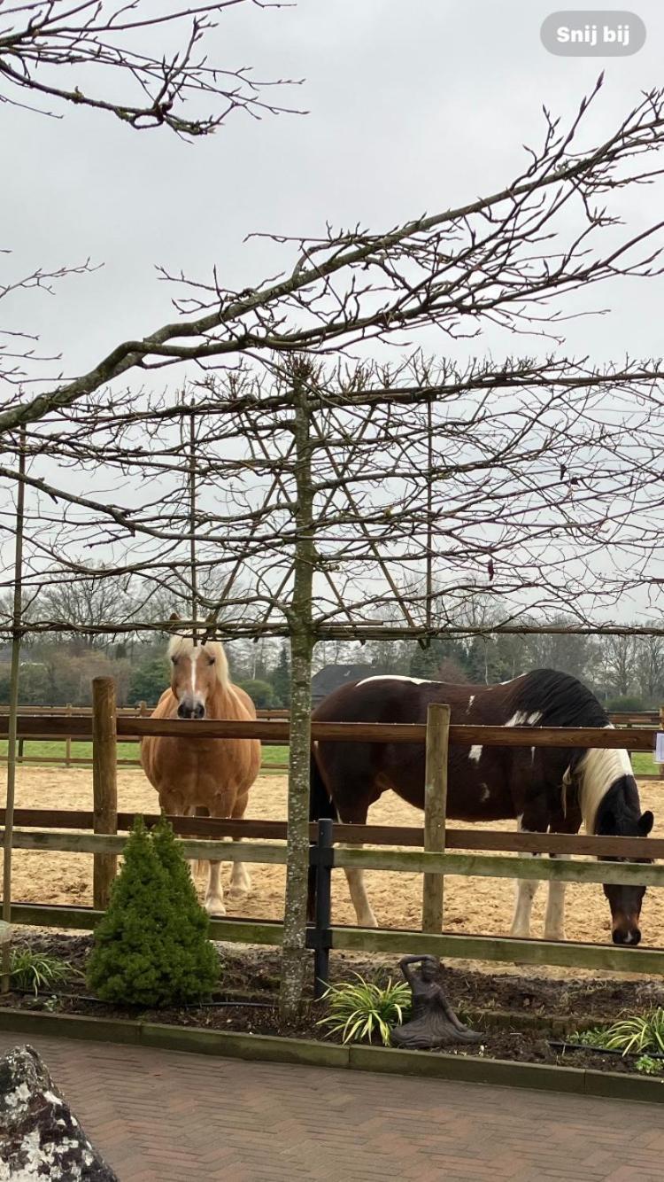 Carpe Diem Nijverdal Luaran gambar