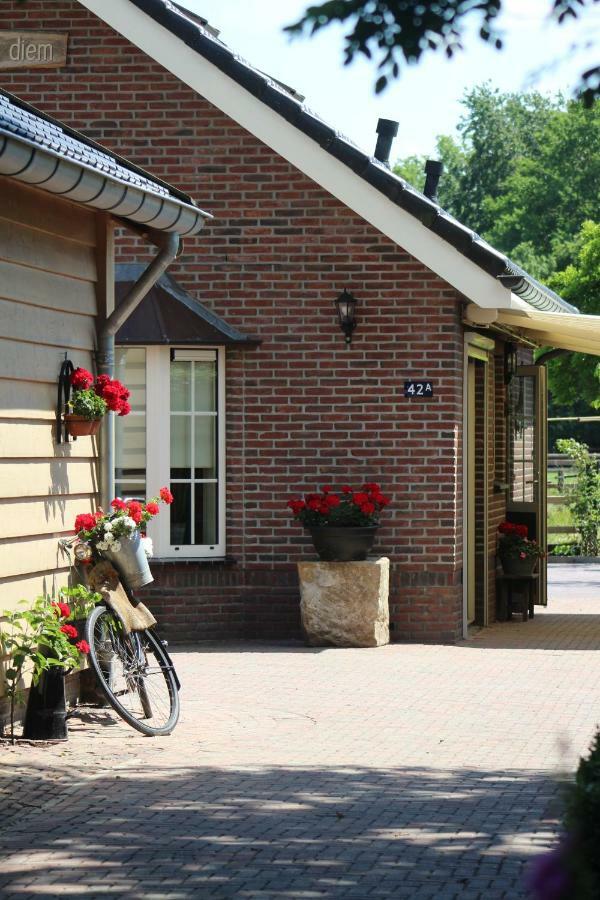 Carpe Diem Nijverdal Luaran gambar